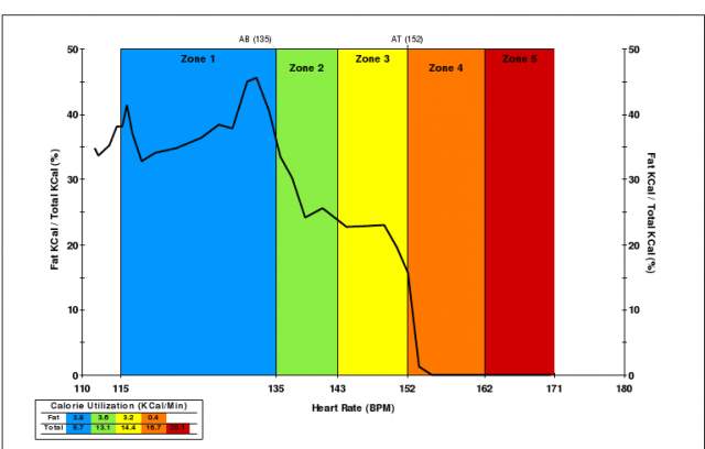 Новичкам. То, что вы хотели бы знать и сделать, но боялись спросить. 27987-0