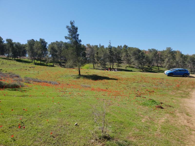 Синглы Алон - Римон - Сансана. Пятница, 4.03.2022, 7:30 59945-0