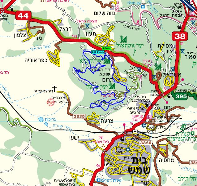 Тенистые джиповки леса Цора, короткая версия. Среда, 4.06.2014, 6:00 44402-0