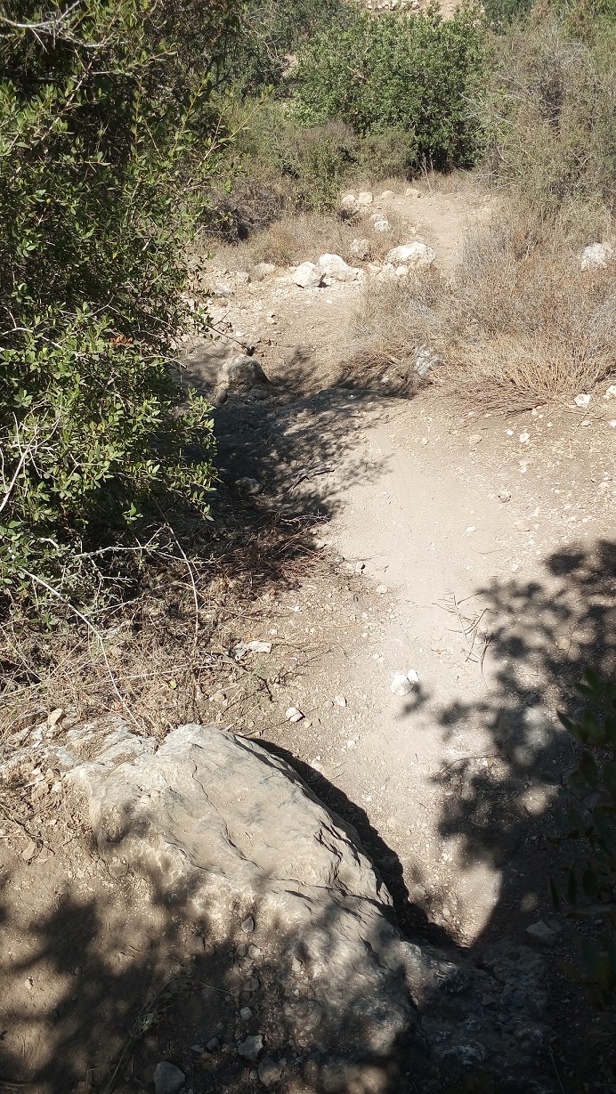 Прогноз на неделю или Где будем пить пиво?