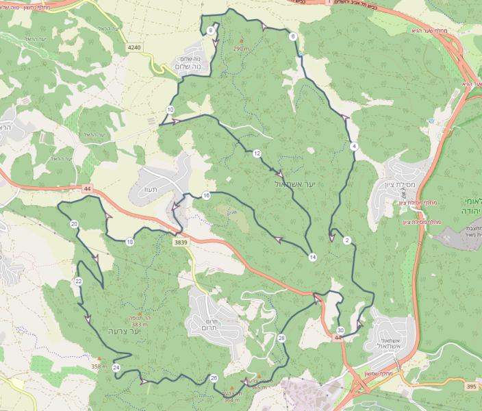 Неве шалом-Таоз 28.08.2020 пятница 6:30 55661-0