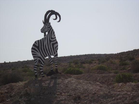 Метула - Эйлат