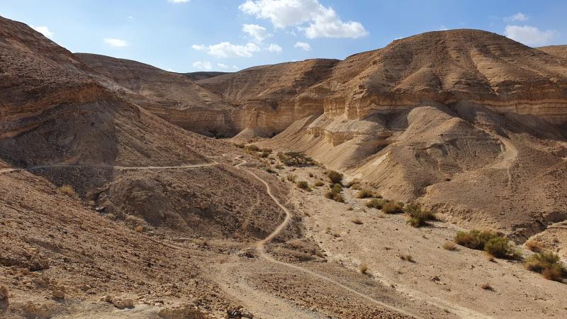 Сингл Арад - Неве Зоар через Мецада. Пятница, 24.02.2023, 7:30 62712-1