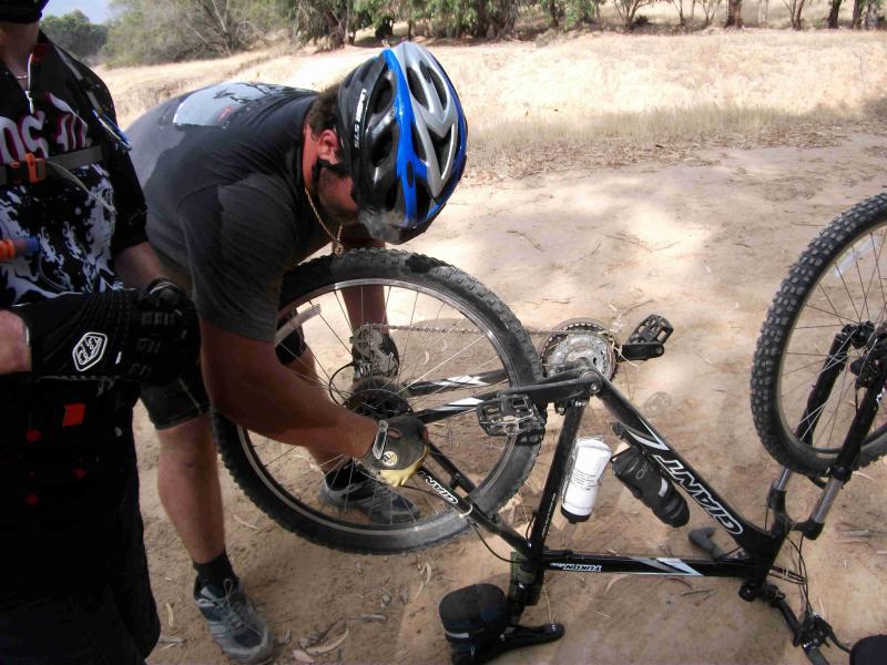 Верблюжъи скачки в Бери. 27638-5