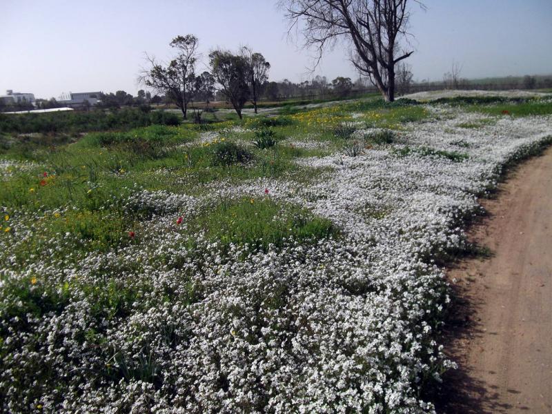 Бэри 27.01.12 30723-2