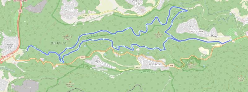 кисалон-цуба 29.03.2019 пятница 8:00 52812-0