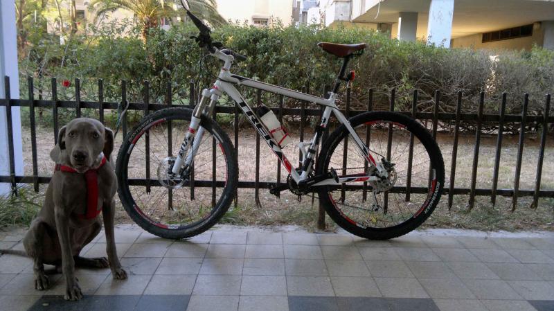 Мой Мустанг или GT_26 vs Trek_29 37629-0