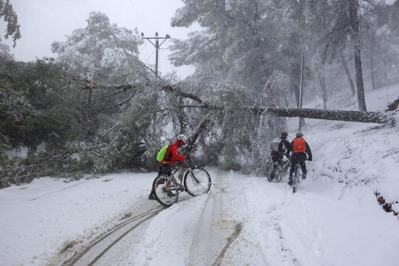 Снежная Бирия, пятница 13.12.13, 8:00 38781-4