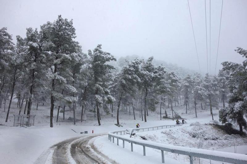 Снежная Бирия, пятница 13.12.13, 8:00 38778-1