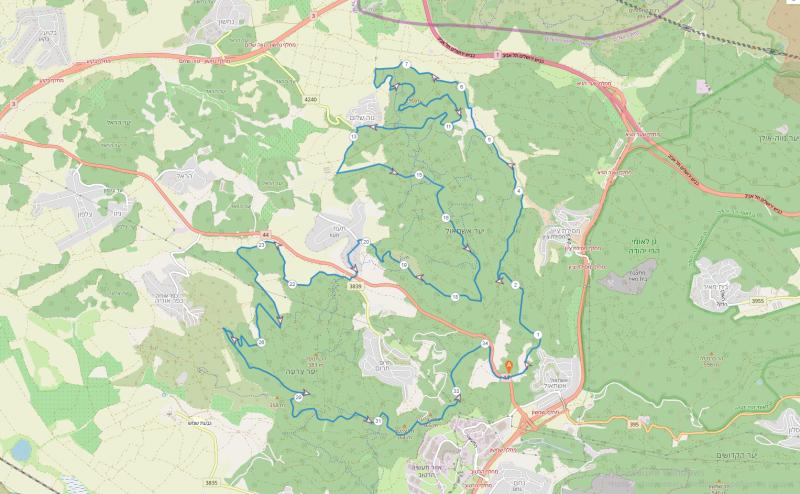 Эштаоль-Таоз-Цора 18.11.2022 пятница 7:00 62016-0