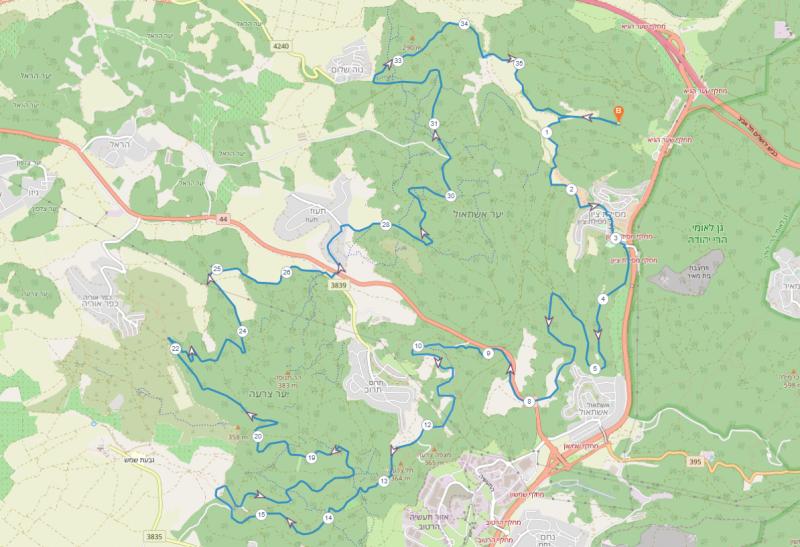 Неве Шалом-Цора 06.01.2023 пятница 7:30 62295-0