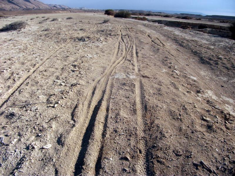 Нахаль Цин - Эйн Ум Тина - гев Зархан, 14.01.2012 30575-1