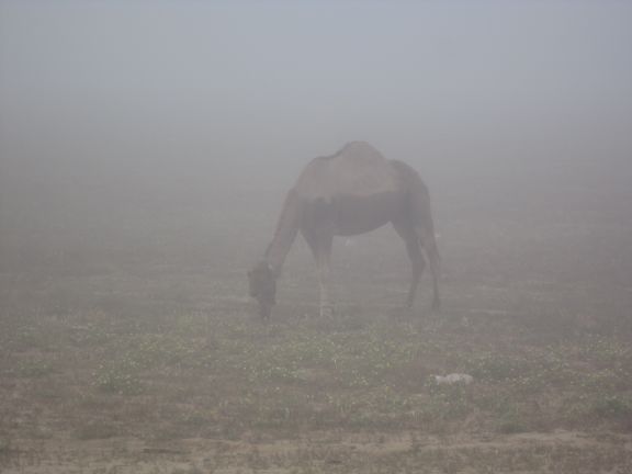 Метула - Эйлат
