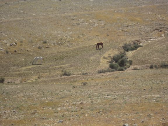 Метула - Эйлат