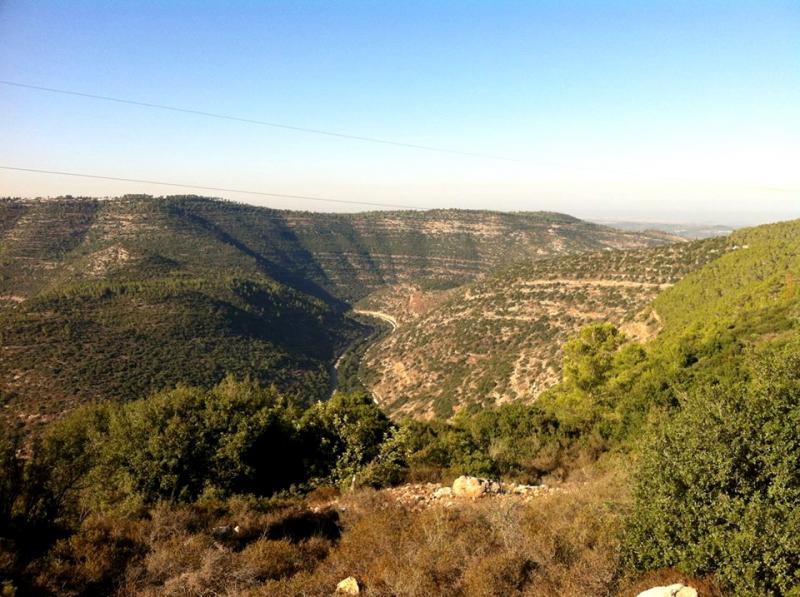 Тавлин-Мегилат ха эш-Цуба 11.10.13 6:30 по новому. Отменяется. 38307-0