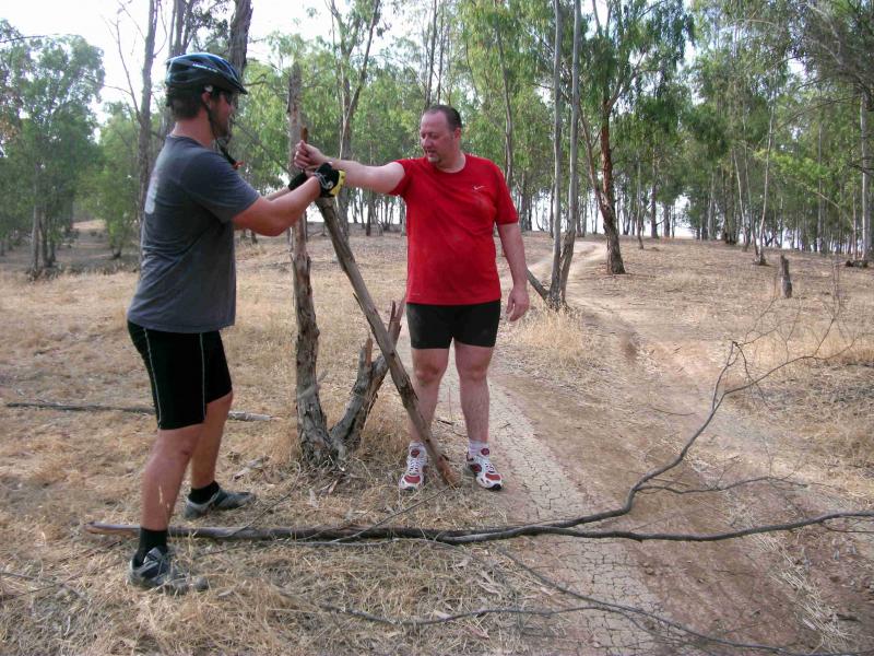 Верблюжъи скачки в Бери. 27632-2