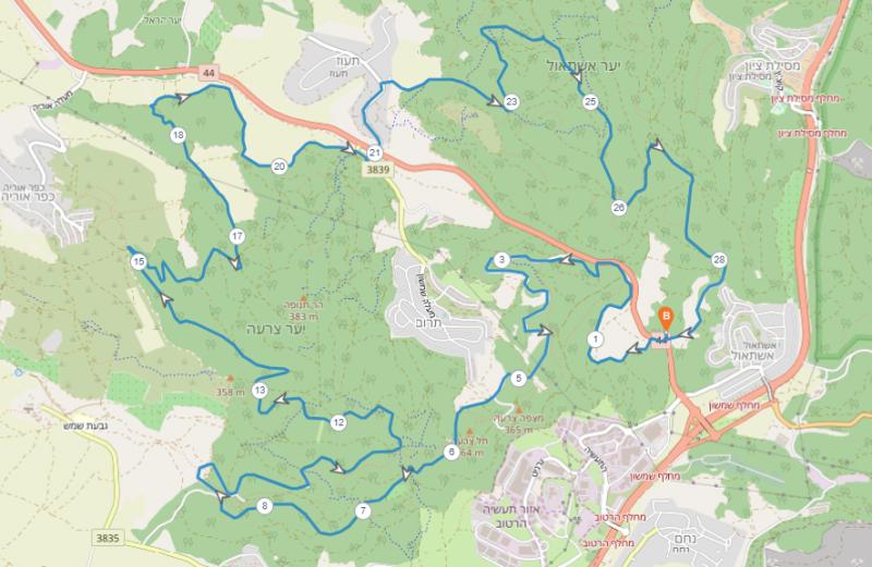 Псалим-Цора 19.07.2024 пятница 6:30 65841-0