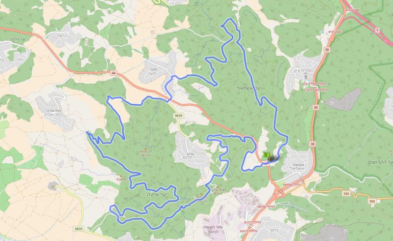 эштаоль-цора 03.08.2018. пятница 7:00 51628-0