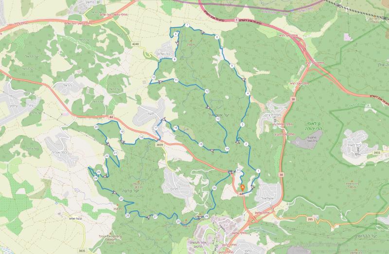 неве шалом-таоз 16.04.2021 пятница 7:30 57899-0