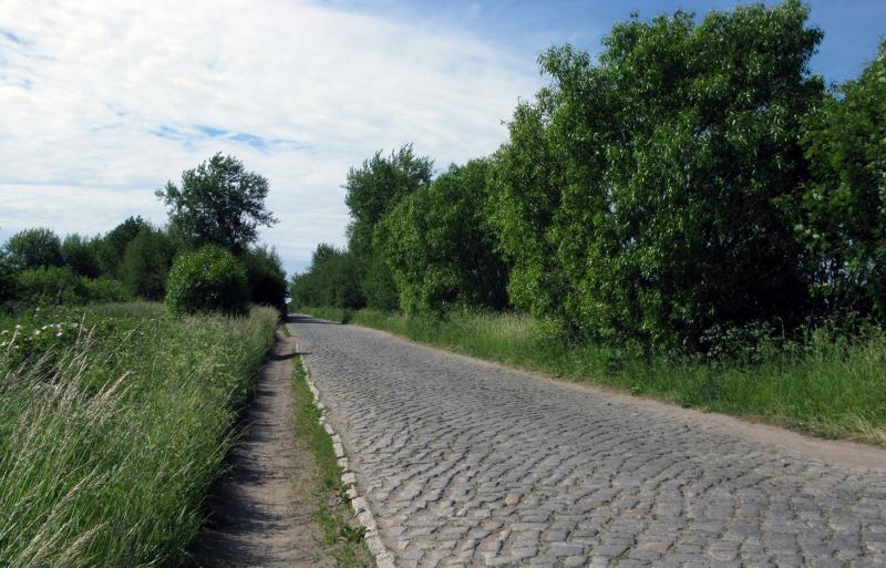 Калининградское взморье на велосипеде 48499-0