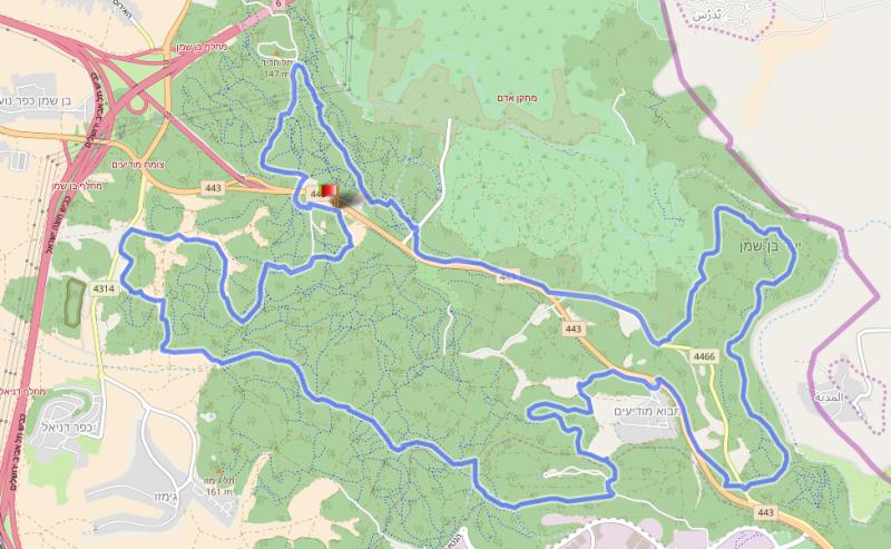 лес бен-шемен. пятница 10.08.2018. 7:00 51661-0