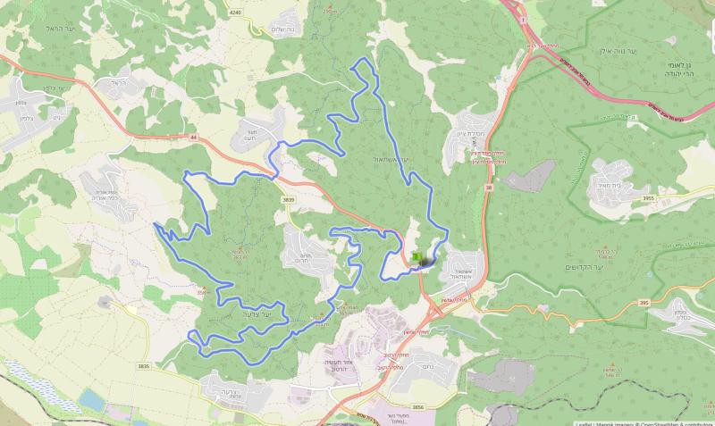 эштаоль-цора 04.01.2019 пятница 8:00 52318-0