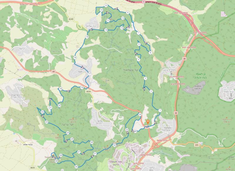 Неве Шалом-Таоз 07.01.2022 пятница 7:30 59677-0