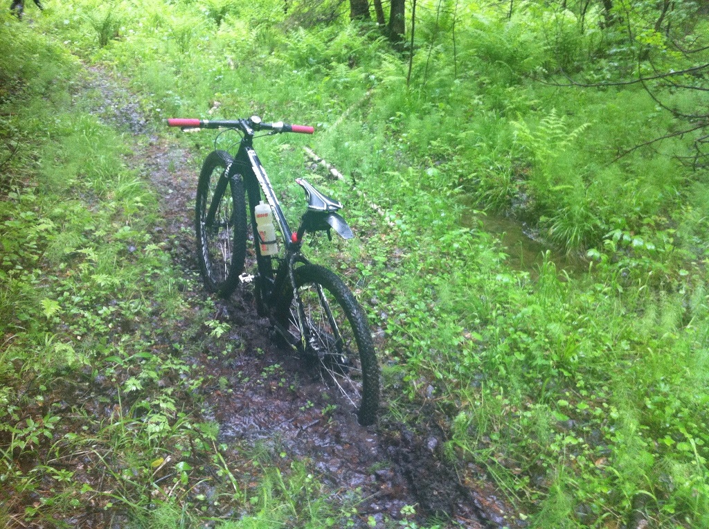 Рипейский Солнцеворот 2015