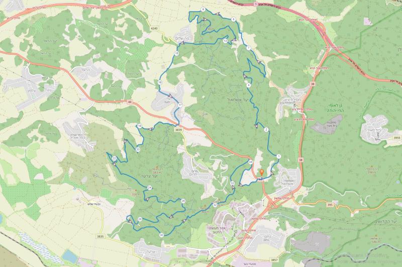 Неве Шалом-Цора 07.10.2022 пятница 7:00 61642-0