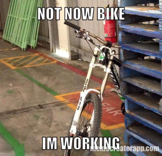 not_now_bike_Im_working.jpg