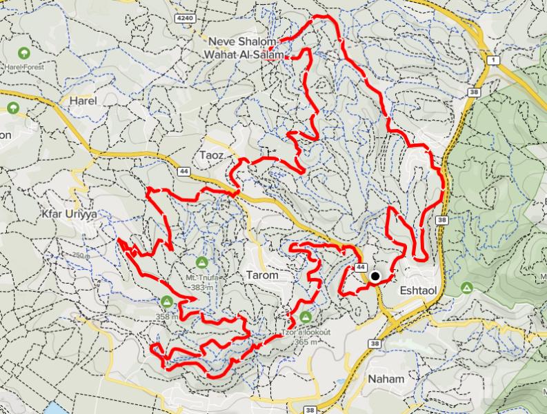 neve-shalom 13.11.2020 пятница 56539-0