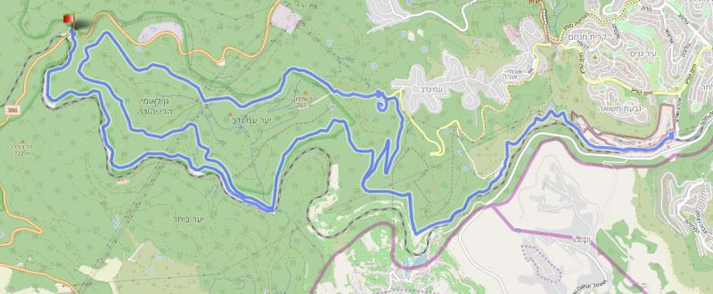 Иерусалимский зоопарк-Яд Кеннеди 04.12.2020 пятница 56775-0