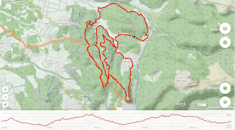 Вечерний лес Эштаоль от дерех Бурма. Шлиши, 24.11.2020, 19:00 выезд. 56636-0