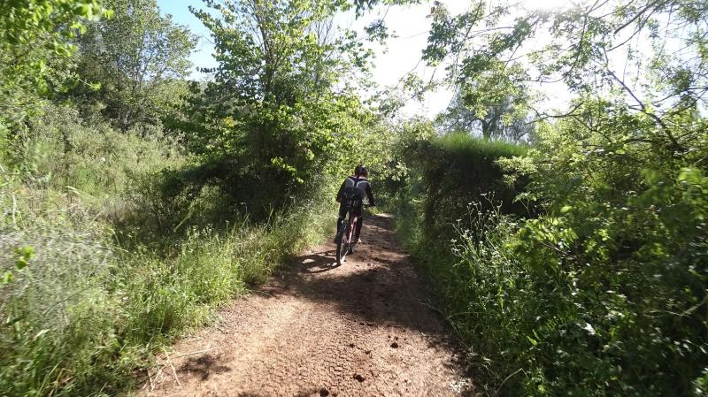 Синглы Адолям и Каним 2 варианта. Пятница, 1.03.2024, 7:30. 65022-1