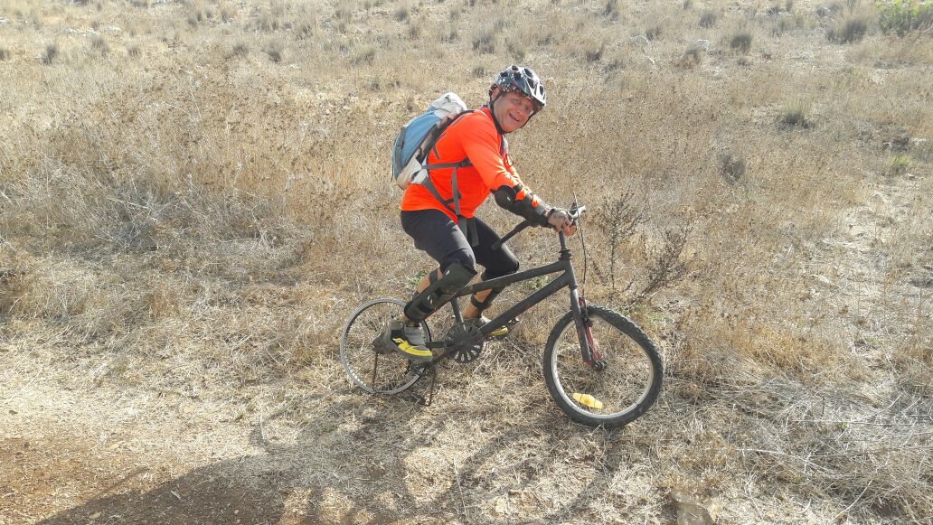 Собачьи бега